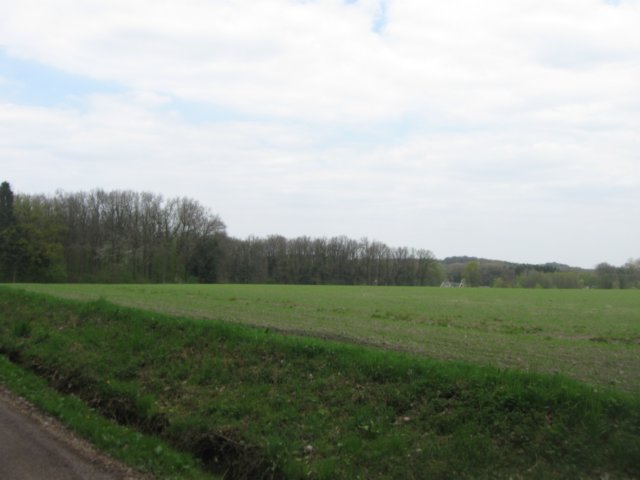 img_1941.jpg