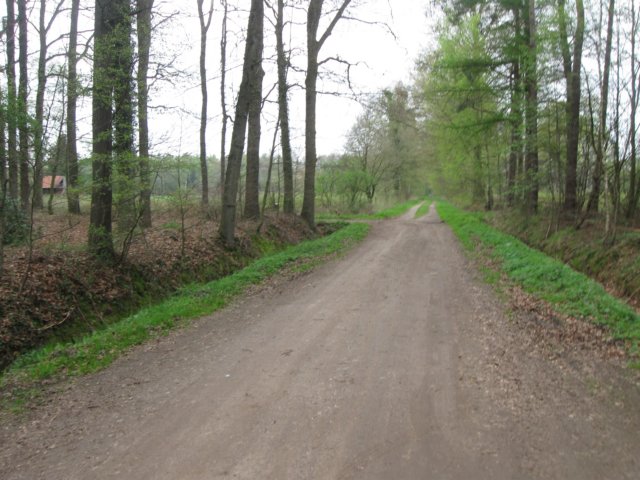 img_1960.jpg