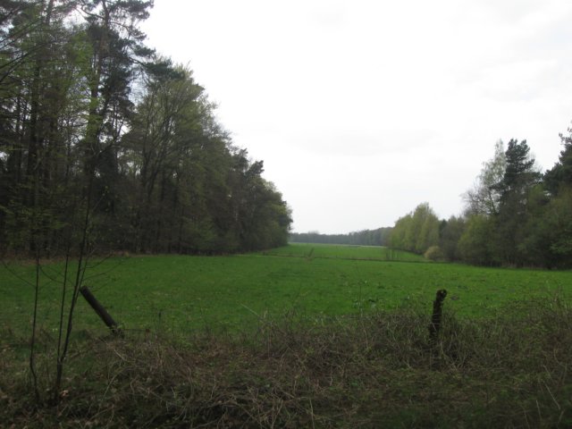 img_1969.jpg