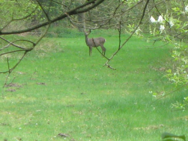 img_1982.jpg