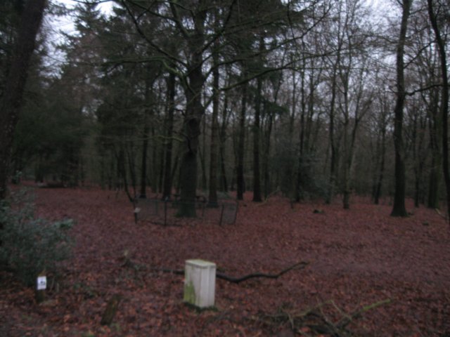 img_9415.jpg