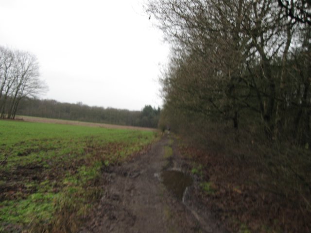 img_9430.jpg