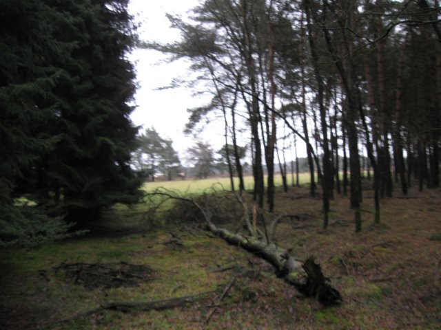 img_9431.jpg