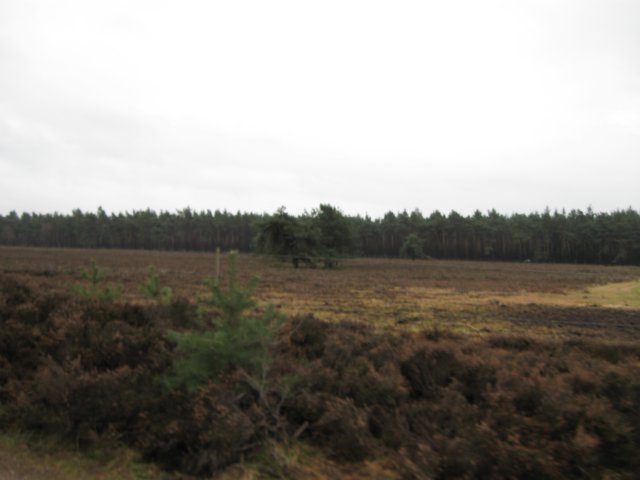 img_9433.jpg