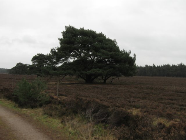 img_9434.jpg