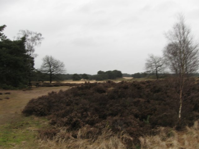 img_9435.jpg