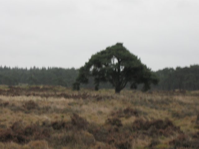 img_9436.jpg