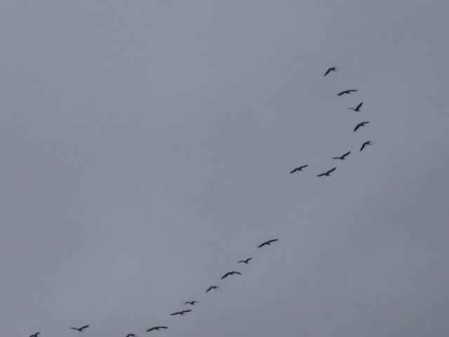 img_9438.jpg