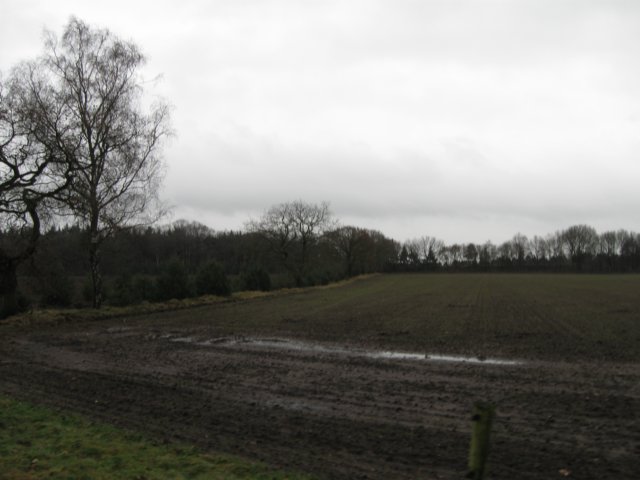 img_9440.jpg