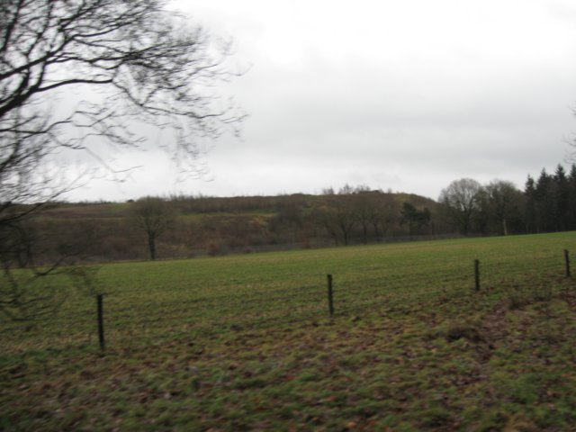 img_9443.jpg