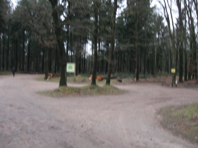 img_9444.jpg