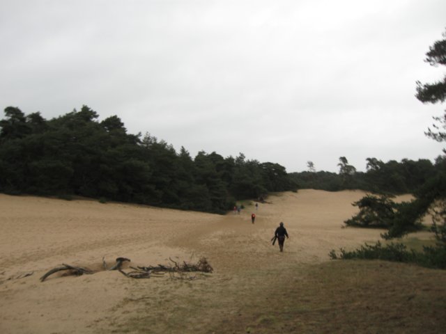 img_9446.jpg