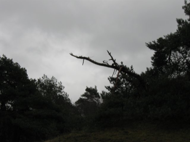 img_9449.jpg