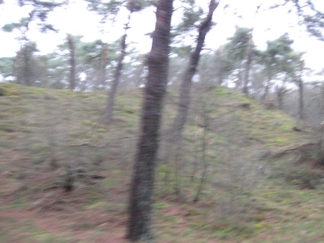 img_9451.jpg