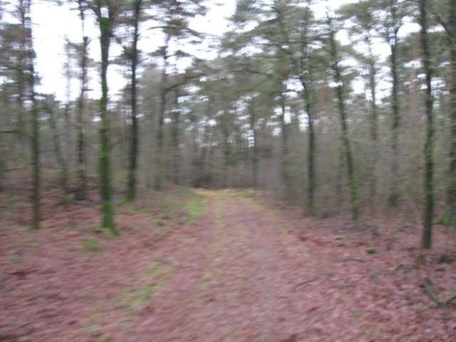 img_9452.jpg