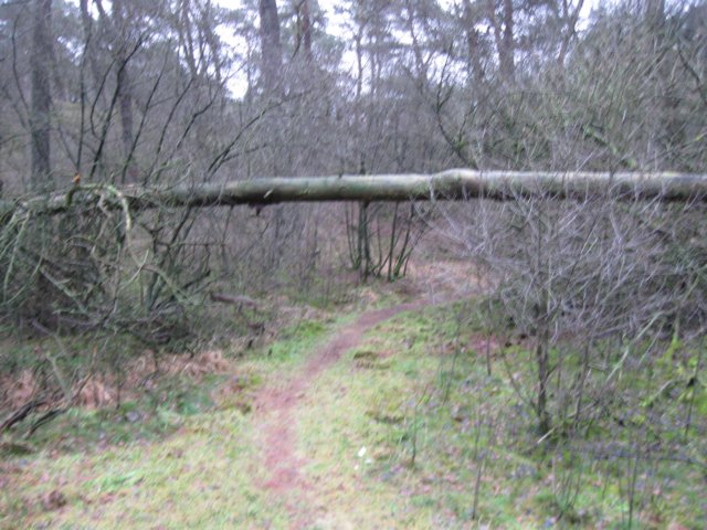 img_9453.jpg