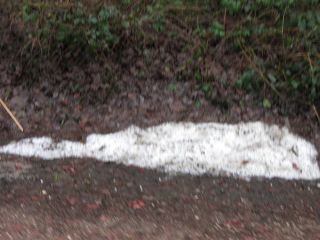 img_9456.jpg