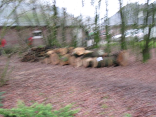 img_9457.jpg