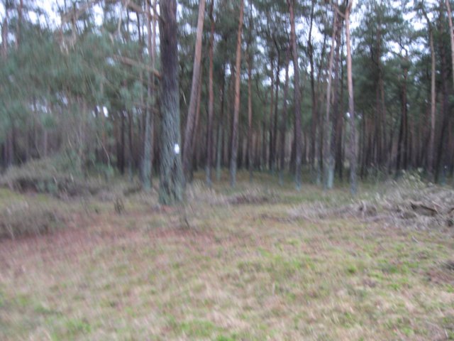 img_9479.jpg
