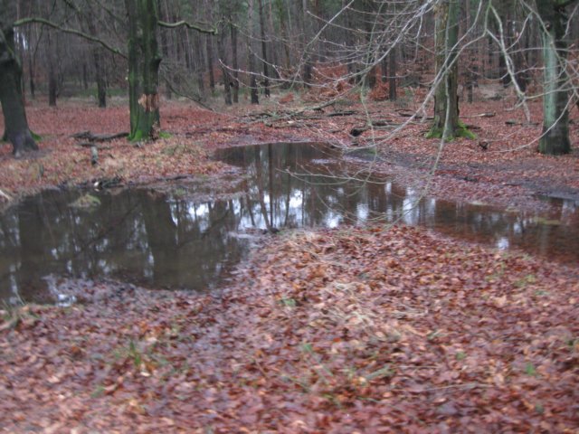 img_9484.jpg