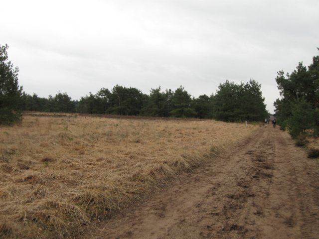 img_9486.jpg
