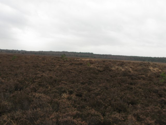 img_9488.jpg