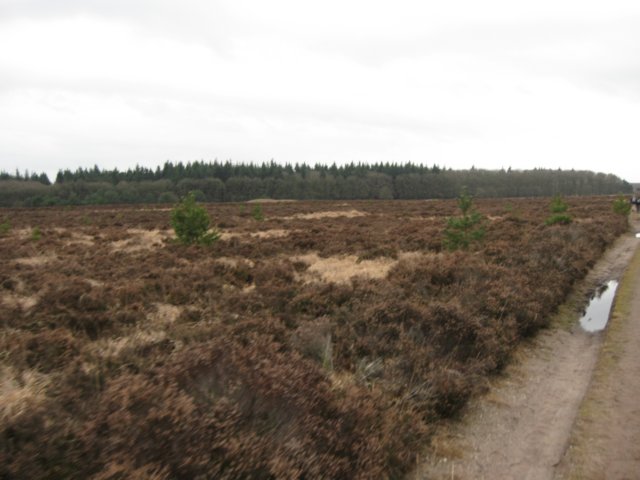 img_9489.jpg
