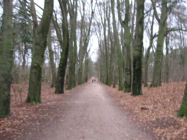 img_9496.jpg