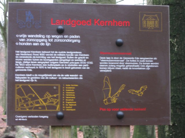 img_9497.jpg
