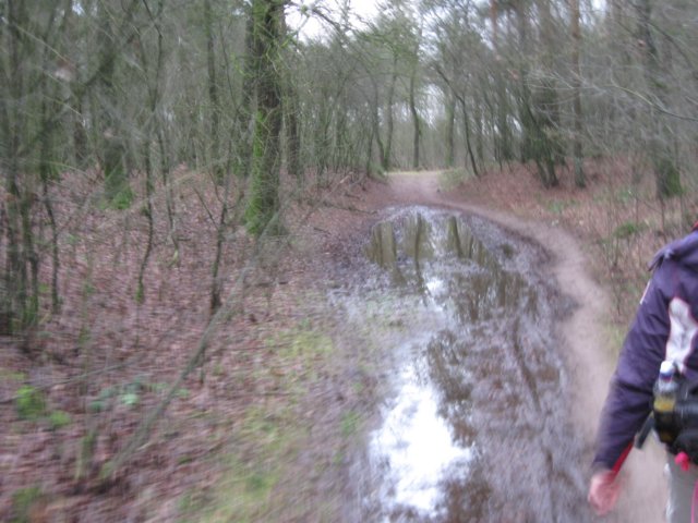 img_9499.jpg