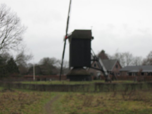 img_9500.jpg