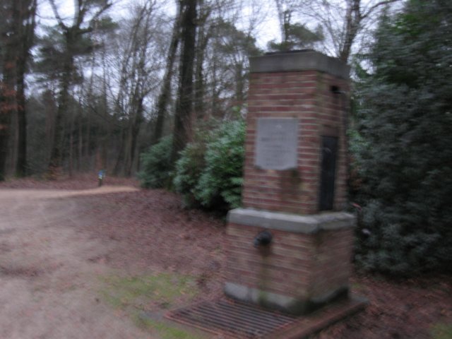 img_9512.jpg