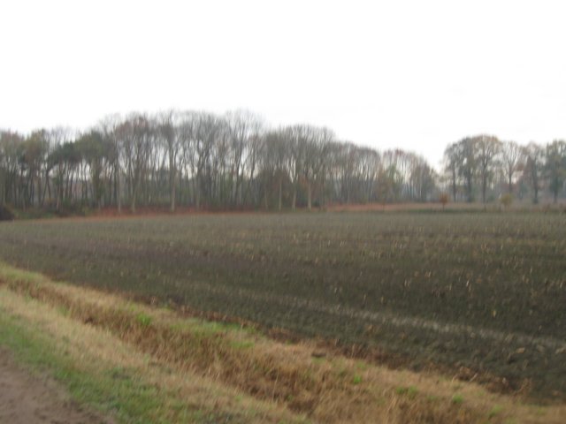 img_5923.jpg
