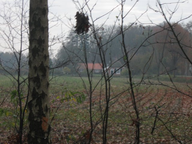 img_5924.jpg
