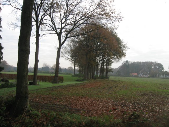 img_5925.jpg