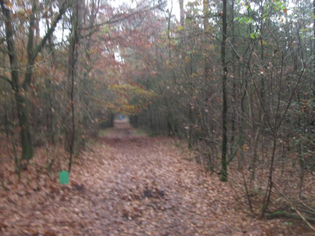 img_5927.jpg