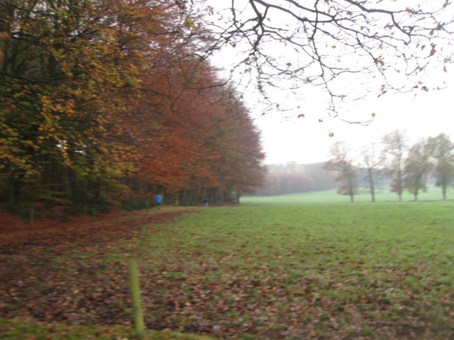 img_5933.jpg