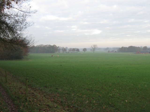 img_5934.jpg