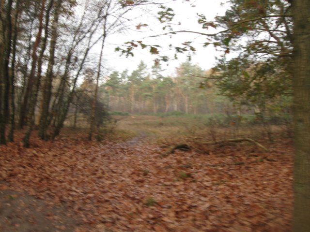 img_5946.jpg