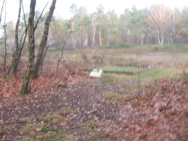 img_5947.jpg