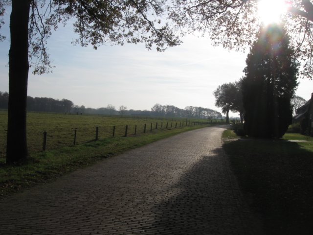 img_5988.jpg