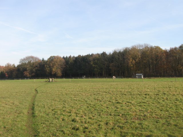 img_5990.jpg