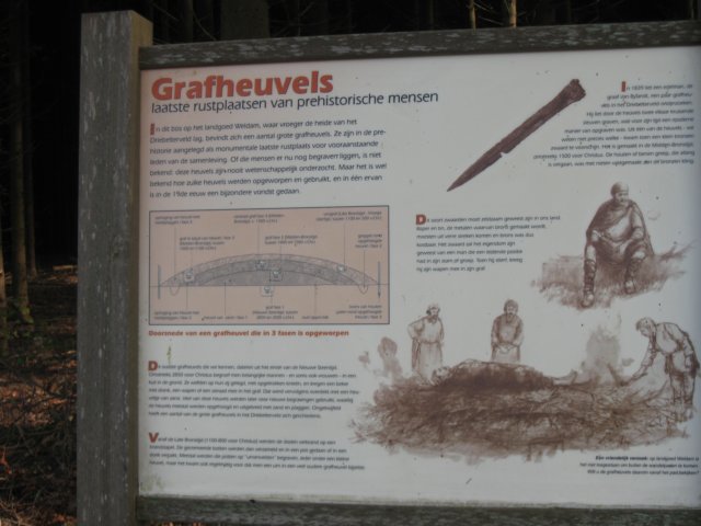 img_5991.jpg