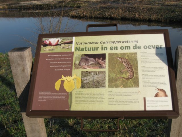 img_0775.jpg