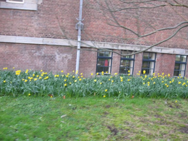 img_0793.jpg