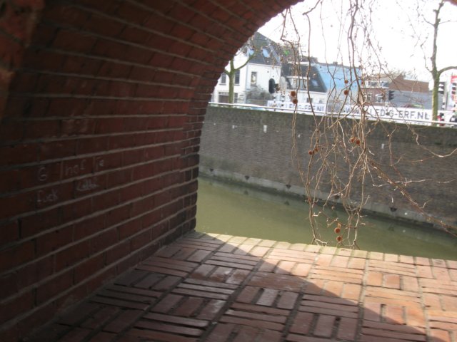 img_0806.jpg