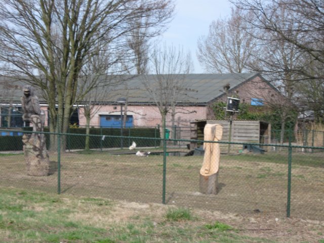 img_0900.jpg