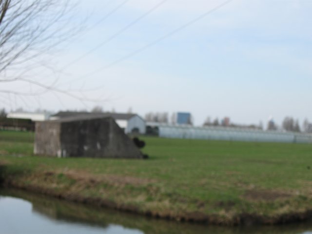 img_0919.jpg