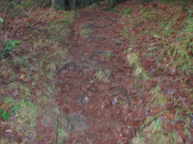 img_6672.jpg