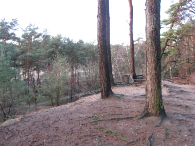 img_6673.jpg